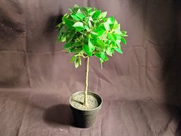 IKEA Baum im Topf, H: 43cm