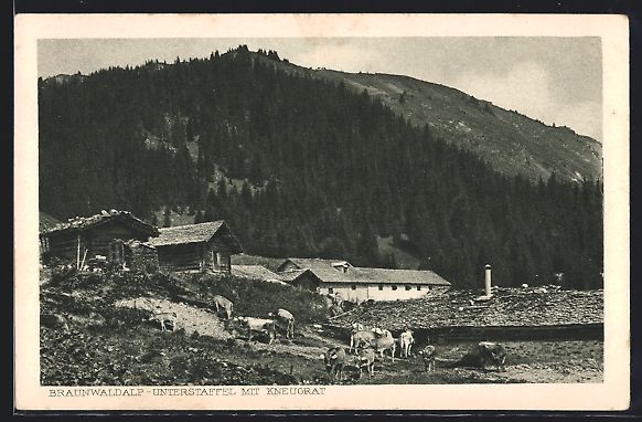 Cartoline postali: Braunwald, Braunwaldalp mit weidenden K – Usato da Berlin venduto da bartko-reher