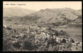 AK Wattwil, Panorama, 1912