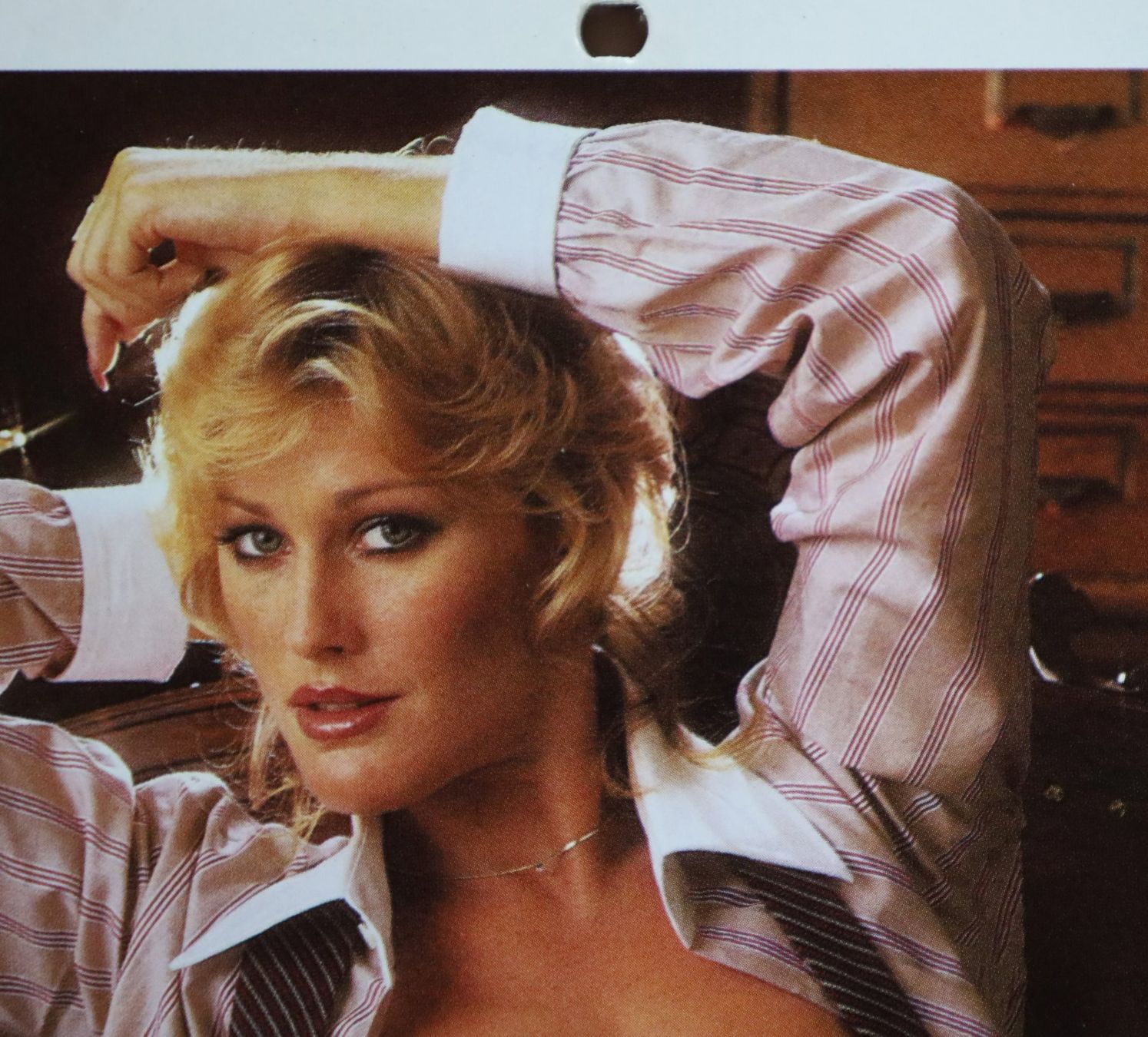 Playboy Calendari: PLAYBOY Kalender 1981 – Usato da Birrwil venduto da brandschatz_birrwil 5