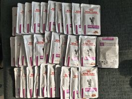 Royal Canin Renal Fisch Katzenfutter 