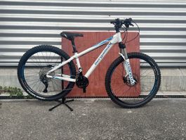 Bergamont MTB weiss Fahrrad gute Zustand