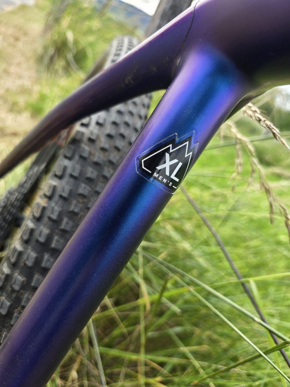 Specialized Biciclette: Specialized S-WORKS EPIC hardtail, Roval control SL, XTR, XL – Usato da Chevilly venduto da Alexdestraz 2