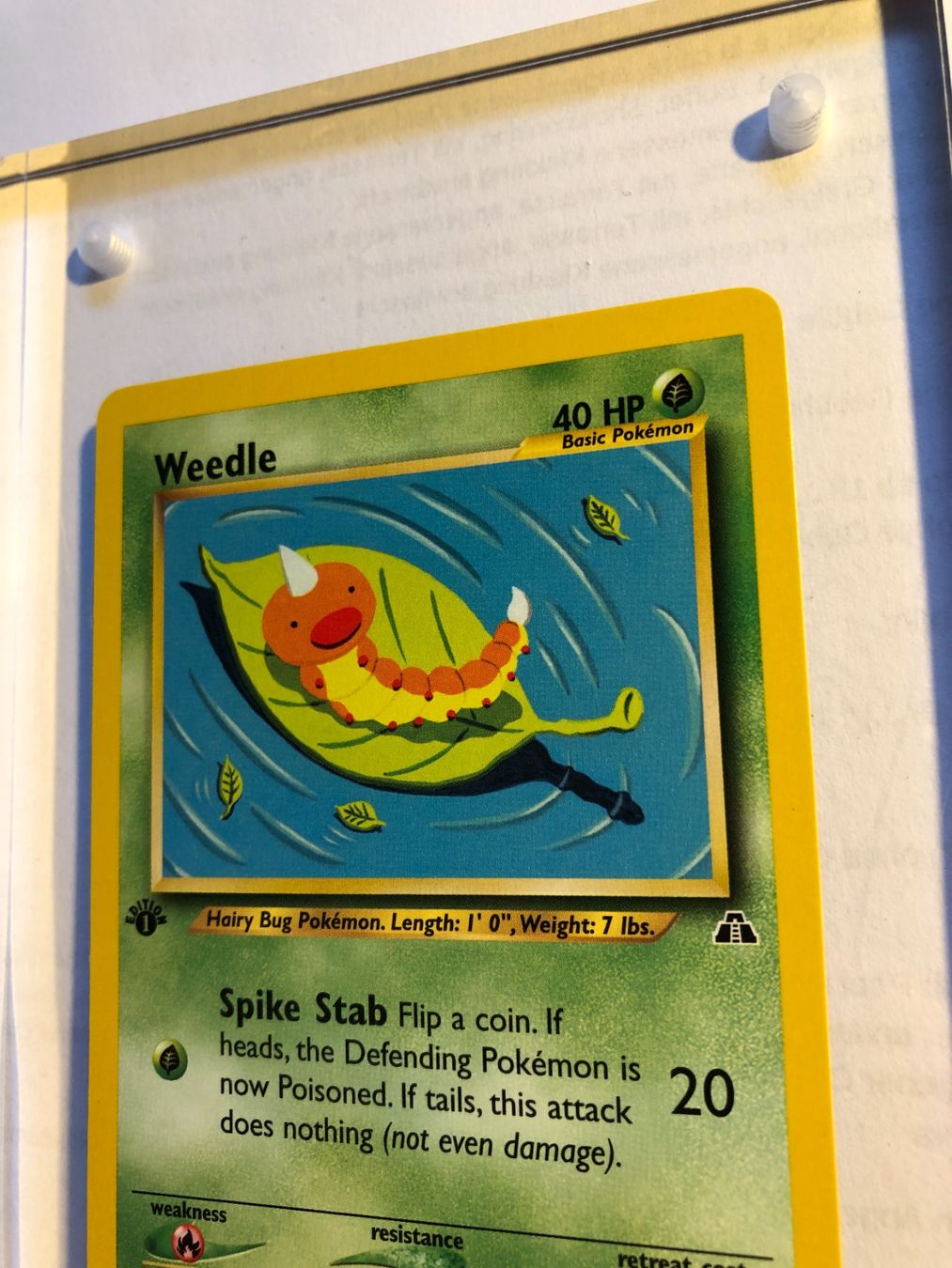 Sammelbilder & Trading cards: Weedle 1st Neo Discovery - MINT - ab 1.- – Gebraucht aus Giubiasco von dan_pr8b 3