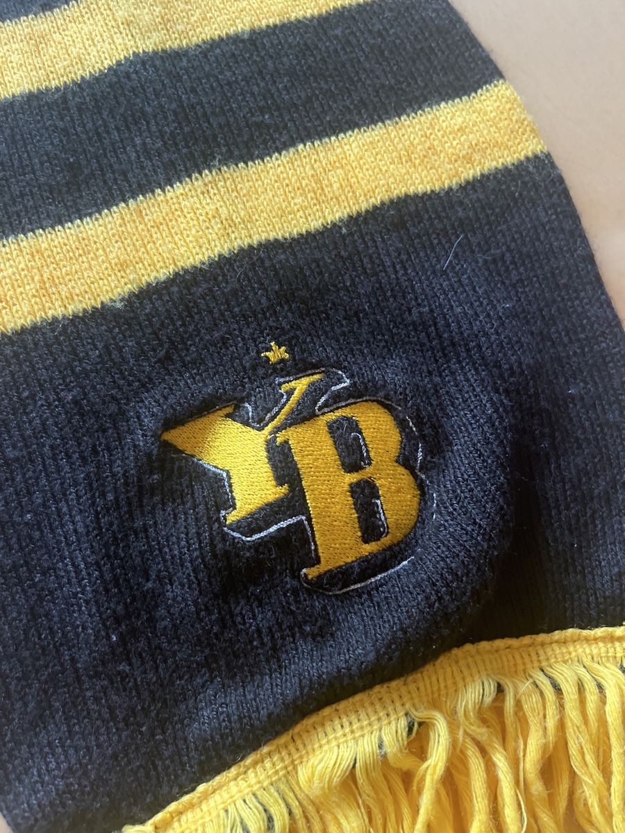 Foulards, Tücher & Schals: BSC Young Boys YB Schal Halstuch – Gebraucht aus Wallisellen von theadicts77 1