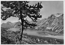 Sils (GR) – Silsersee (Oberengadin) G