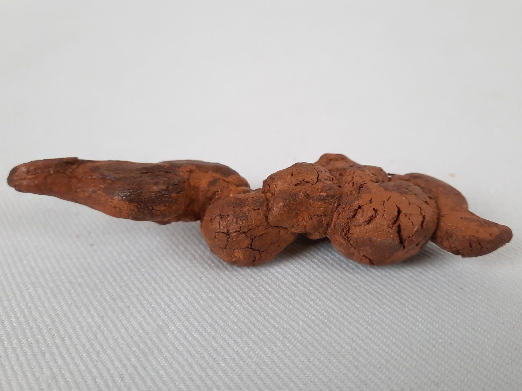 Fossili: Diverse Fossilien – Usato da Beinwil am See venduto da Restwert_Beinwil 3