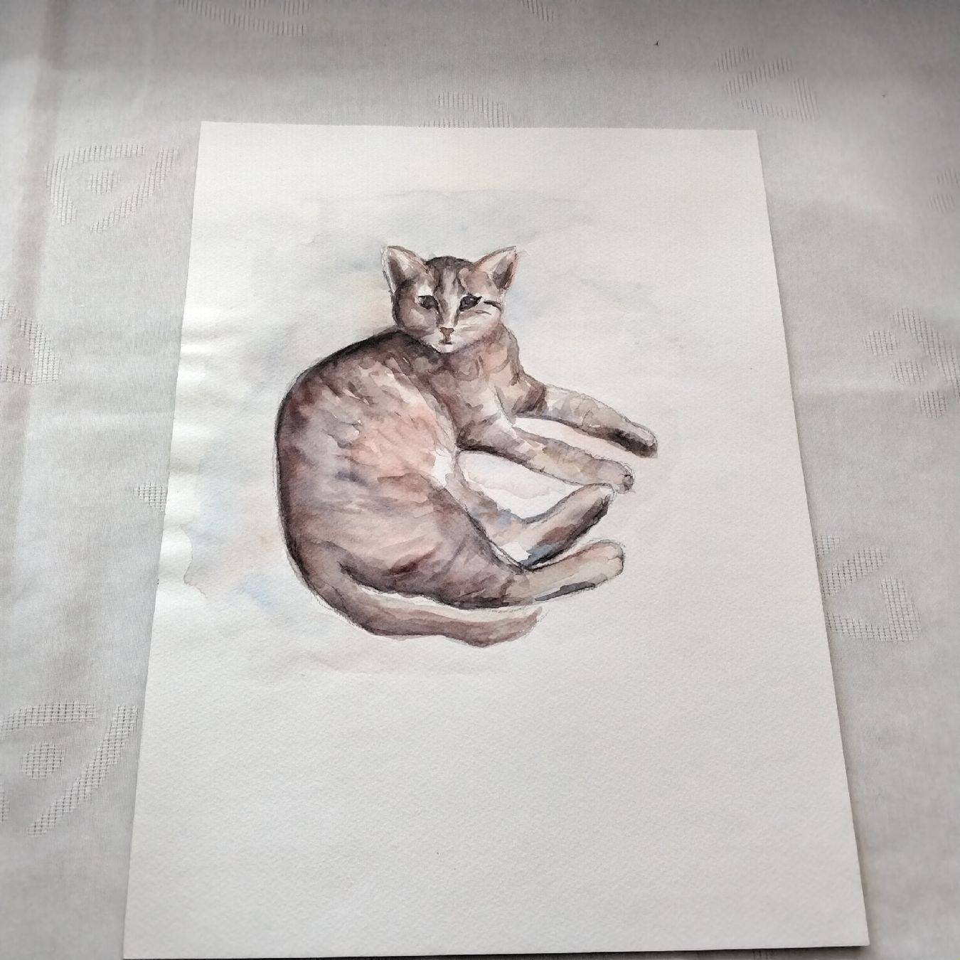 Dipinti: Original Aquarell "Katze" , Top – Usato da Rothenburg venduto da utrillo 1