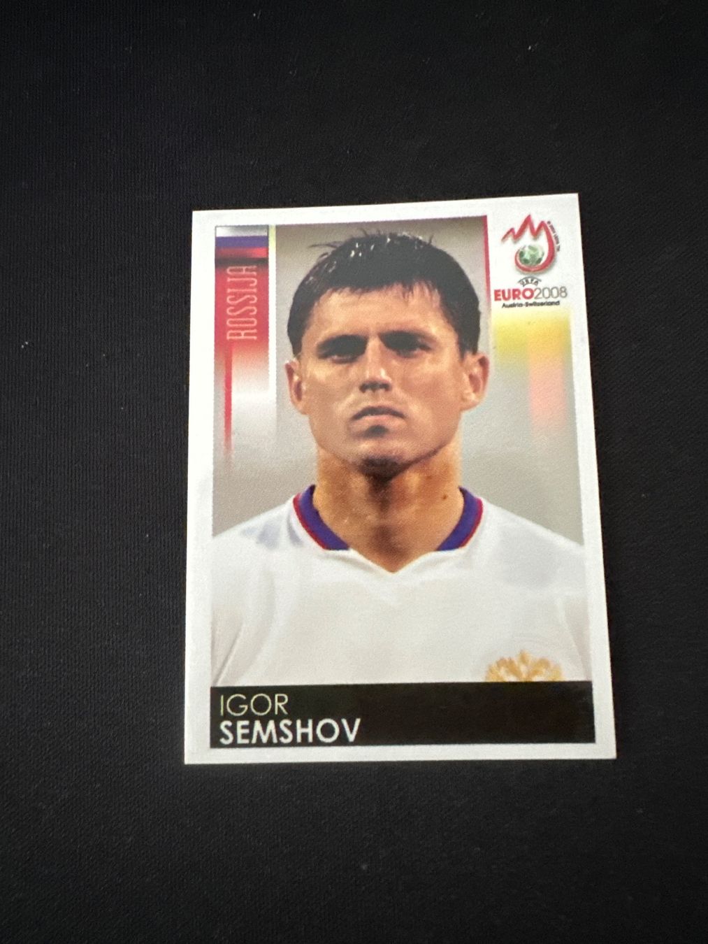 Panini Carte collezionabili: Panini UEFA EM 2008 Sticker - Nr. 449 – Usato da Sulz AG venduto da DealWerk