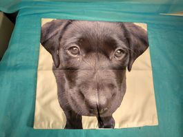 Kissenbezug mit Labrador, Reissverschluss, 45 x 45cm