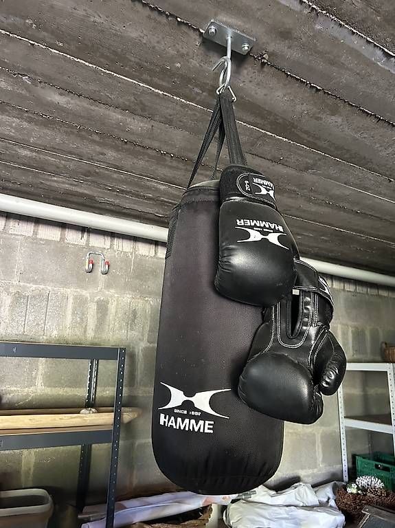 Boxsäcke: Boxsack und Boxhandschuhe – Gebraucht aus Bachs von jok_8p6r