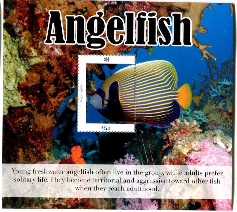 Tous les timbres: Block "Fische". Nevis. – Neuf avec emballage d'origine à Basel par Butsch5