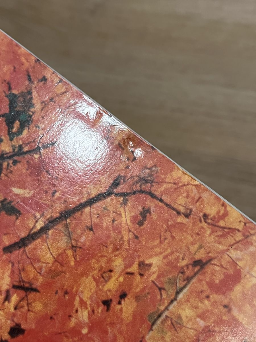 Libri: Libro - Direzione Sorpresa - Bruno Munari e De Biasi – Usato da Lugano venduto da VariousCollection 4