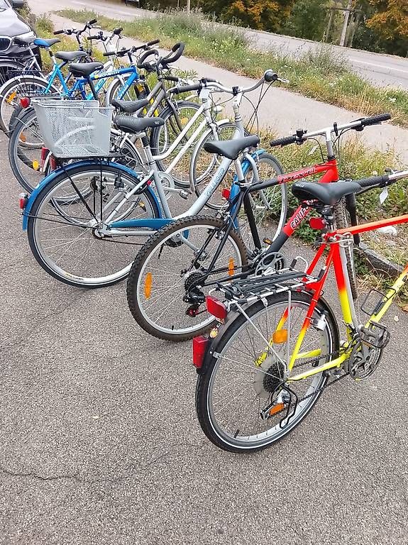 Velos: Rennrad Tigra Cycle Sieger – Gebraucht aus Neuhausen am Rheinfall von galleria13 4