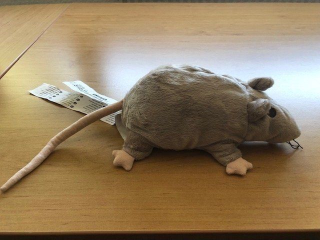 Ikea Spielzeuge: IKEA PELUCHE GOSIG RATTA NEUF – Neu und originalverpackt aus Bernex von eunicefitz 1