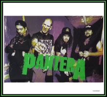 Fahne *Pantera* klein / Nr. C-968