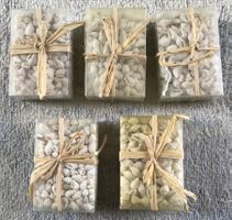LOT MUSCHELN NEU UND ORIGINALVERPACKT