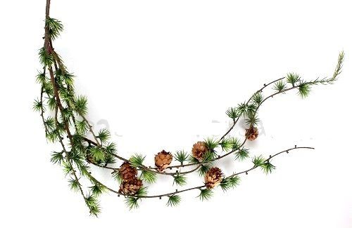 Tutte le decorazioni: Zedernzweig mit Zapfen – Nuovo (secondo la descrizione) da Schlatt TG venduto da kreativ-atelier