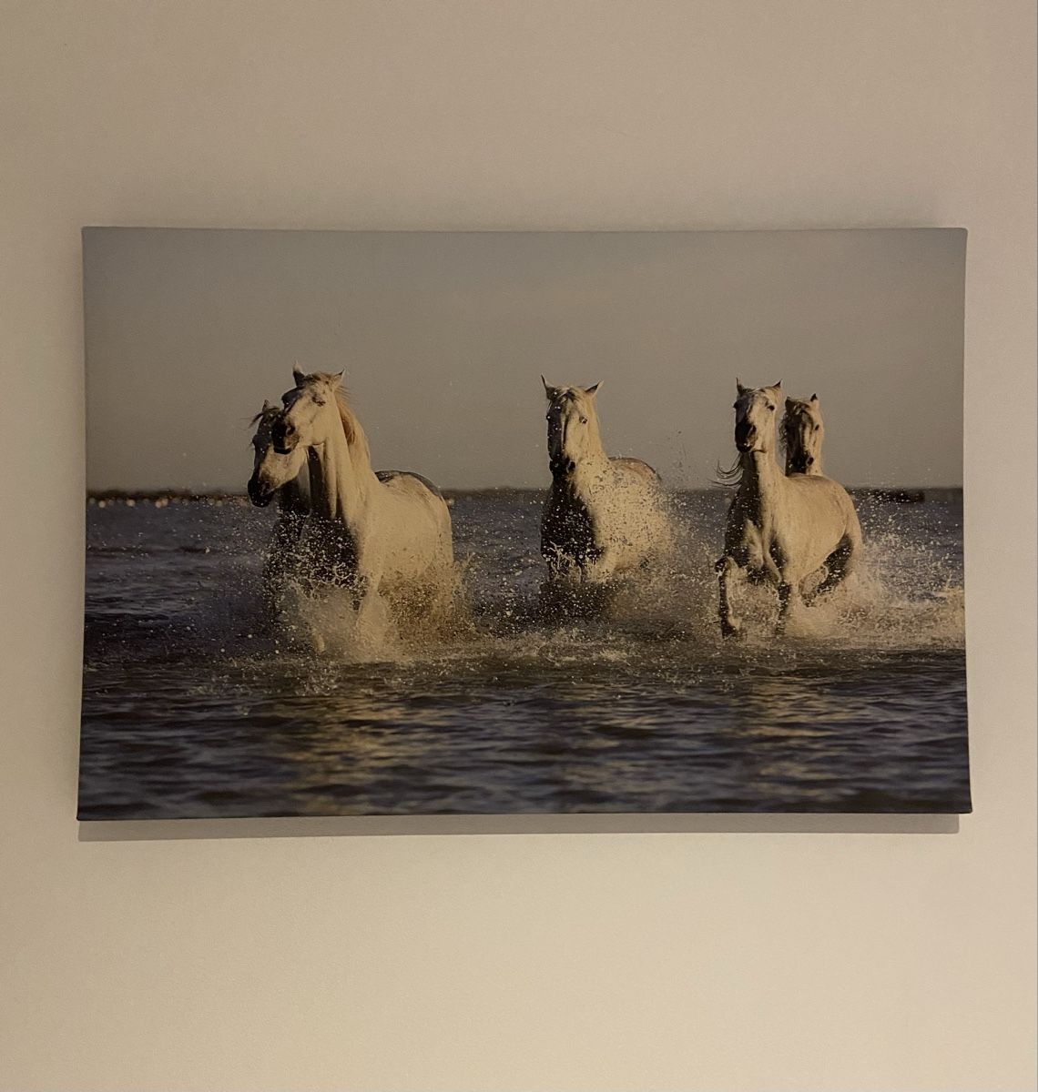 Poster & Bilder: Leinwandbild von Pferden – Neu (gemäss Beschreibung) aus Birmenstorf AG von jokerit02 2