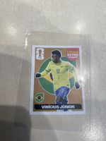 Extra stickers Vini junior