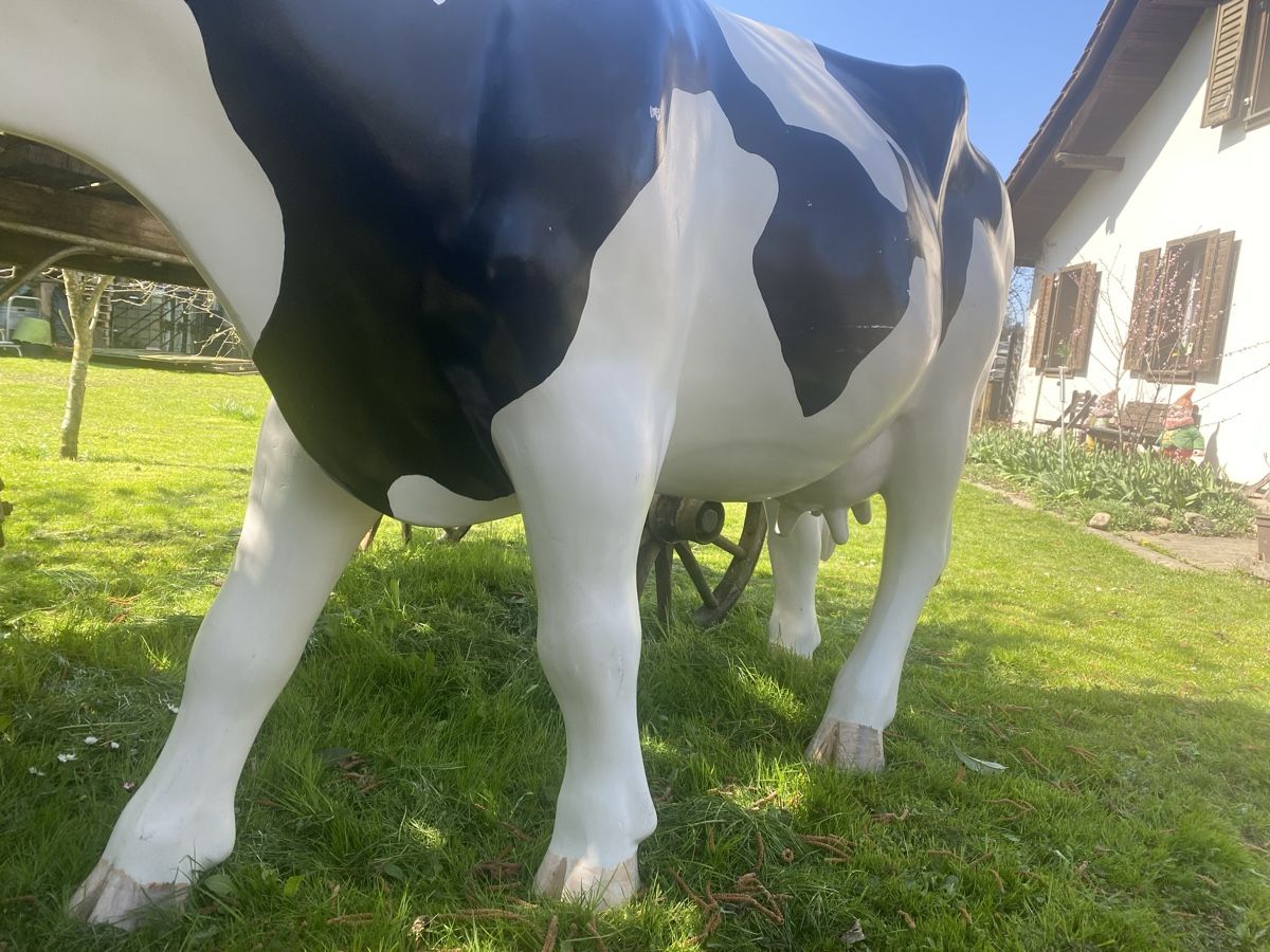 Tutte le decorazioni: Kuh lebensgross, Milchkuh Rind-679 – Usato da Recherswil venduto da paulchen09 4