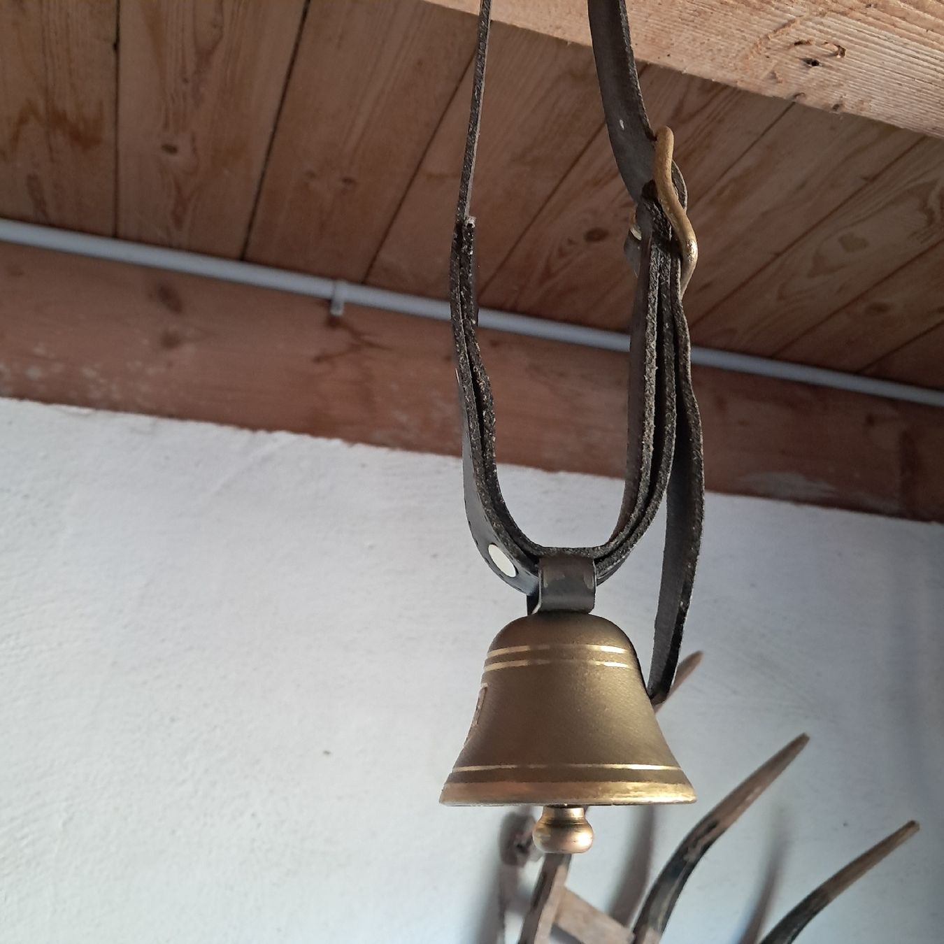 Cloches & sonnailles: NEUWERTIGE KLEINE GLOCKE  – D'occasion à Murten par SHETHOF 3
