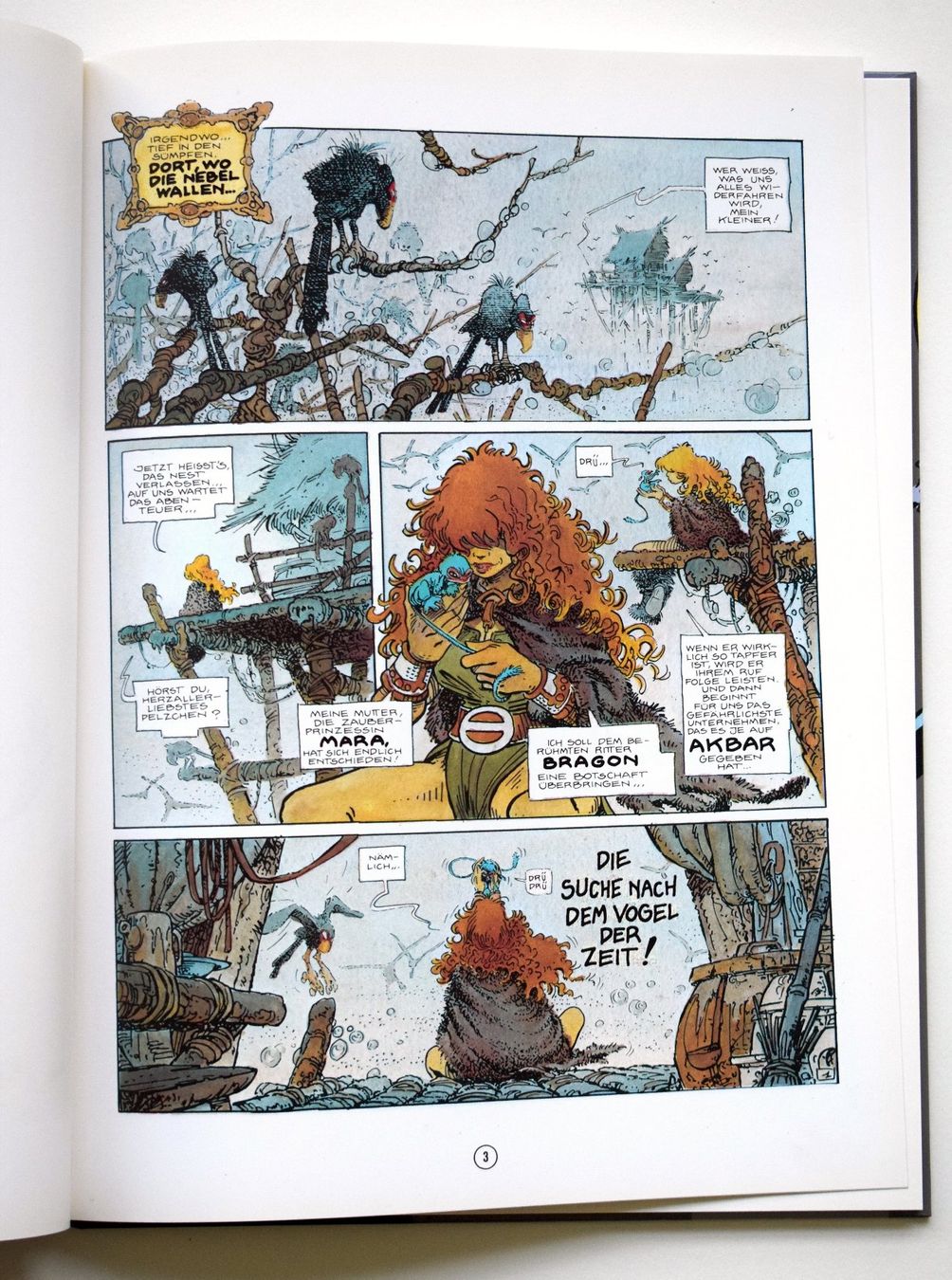 Fumetti: Loisel Suche nach dem Vogel 1 Schatten Akbar Comic-Sammlung – Usato da Dulliken venduto da ichwettichhett 3
