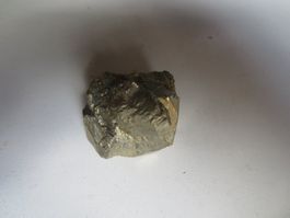 Stein