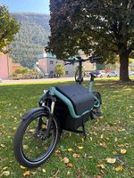 Vélo cargo électrique Riese & Müller Carrie vario