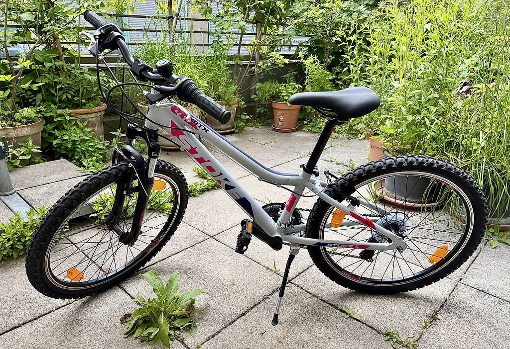 Biciclette: Kinder-Mountainbike – Usato da Zürich venduto da frosch1976 1