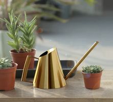 Goldene Edelstahl lange Ausguss Gießkanne 400 ml. Garten NEU