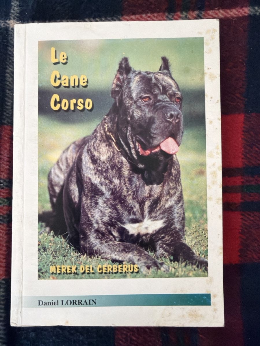 Libri: Cane Corso & Molosser Hunde Bücher Sammlung – Usato da Zürich venduto da d.reitzer 3