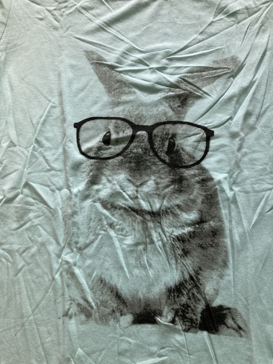 T-shirt: Damenshirt Hase Gr. M – Usato da Emmenbrücke venduto da JJ_89 1