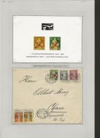 1919 Flugpost F2 Ersttag? 1. Tag? gelaufen nach CHAM Zug ZG