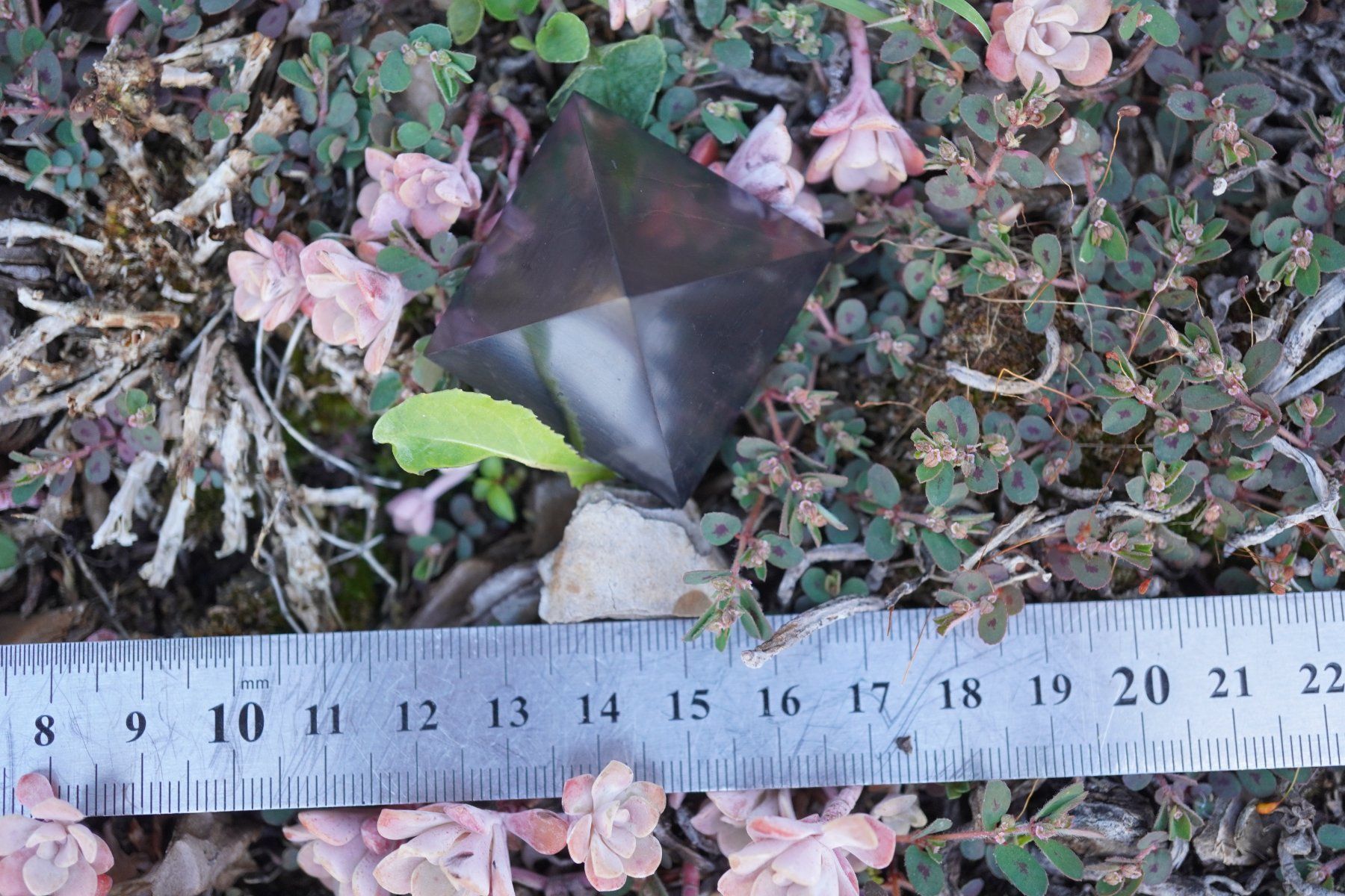 Minerali & Pietre curative: Schungit / Shungit  Pyramide     3cm – Nuovo e nell'imballaggio originale da Eschenbach SG venduto da topstone 5