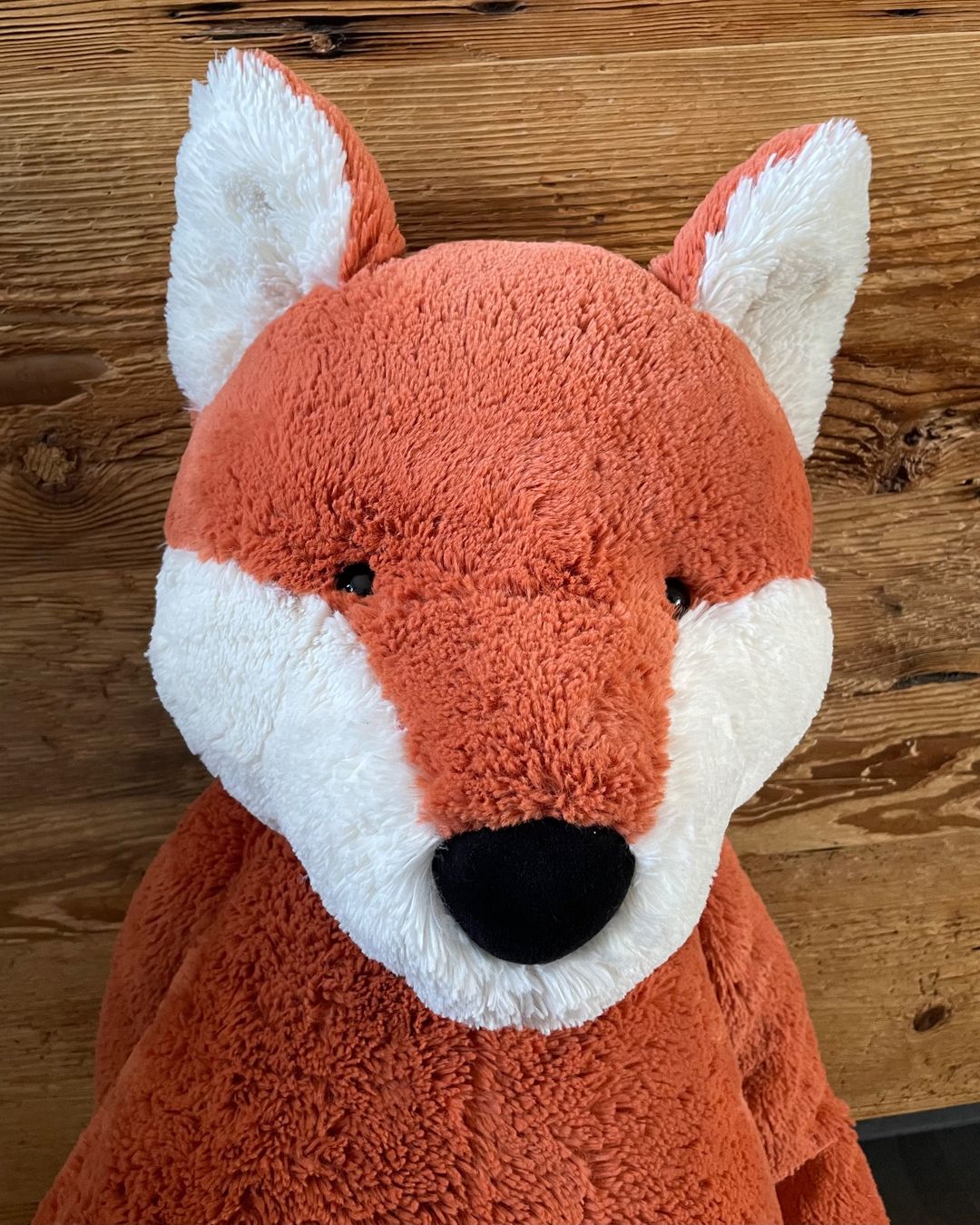 Jellycat Giocattoli: Jellycat Bashful Fox Giant – Usato da Homburg venduto da Vlinder3 1