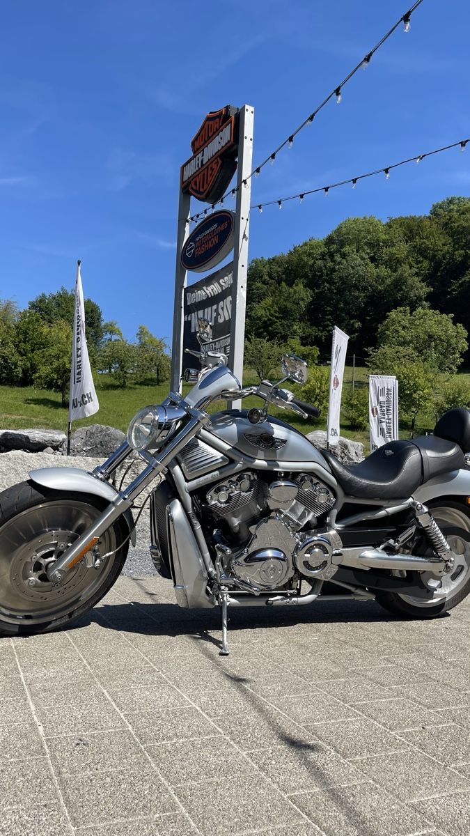 Harley-Davidson Chopper: Harley-Davidson V-Rod Jubiläumsversion – Gebraucht aus Strengelbach von jumbo76 2
