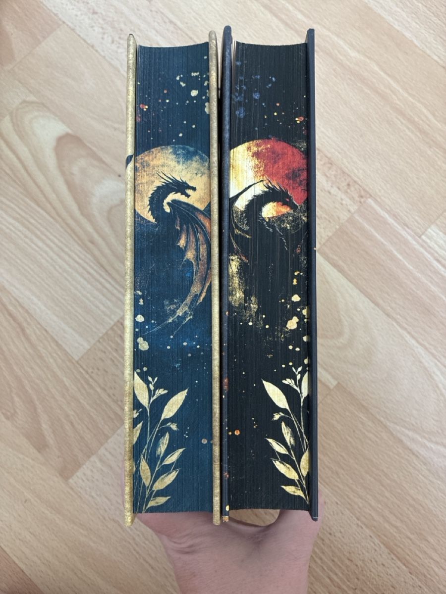 Livres: Drachen Fantasy Bücher  – Neuf (Voir description) à Mels par joe_lin572 1
