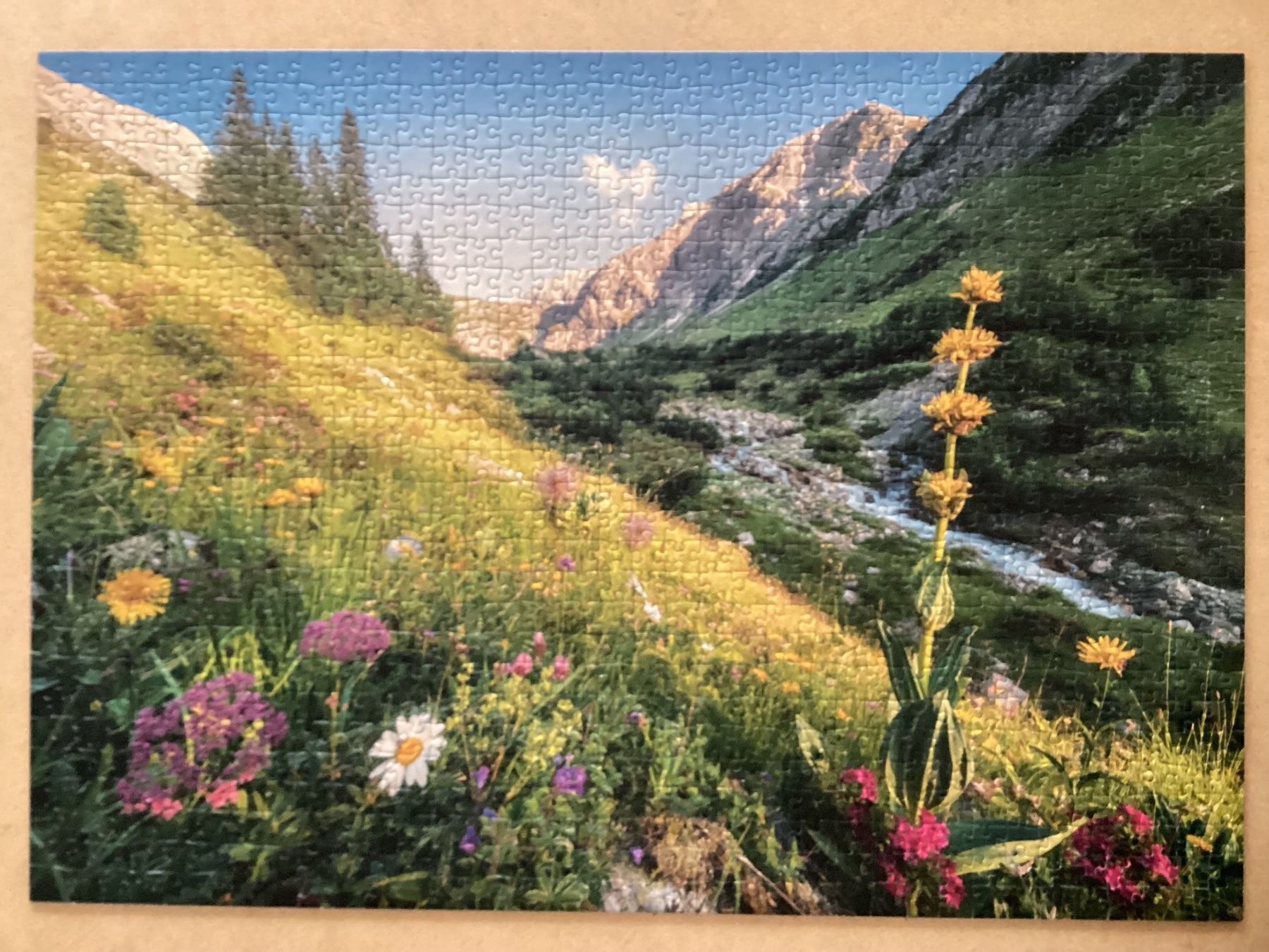 Ravensburger Puzzle: Puzzle Ravensburger Im Garten Eden 1000Teile – Usato da Wagen venduto da papai1 2
