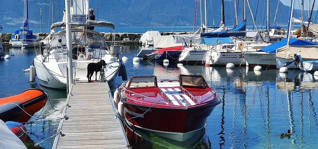 Schweizer Barche: Vends magnifique Saphir 700 de 1983. – Usato da st legier venduto da Lolito68