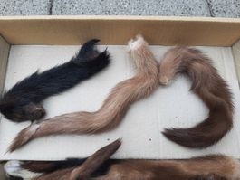 10x Nerzschwänze verschiedene Farben und Grösse