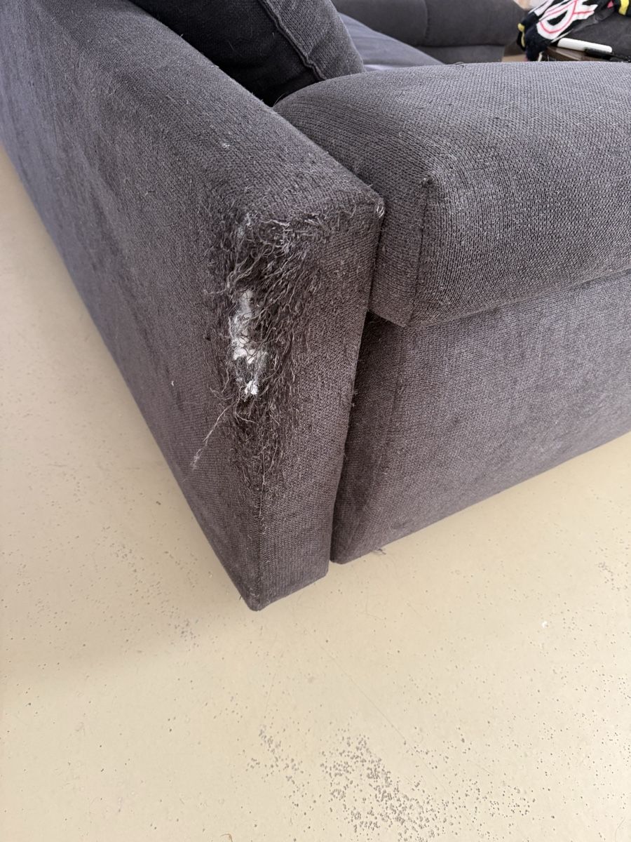 Divani: Ecksofa von Katzenhaushalt – Usato da Bützberg venduto da Janick77 3