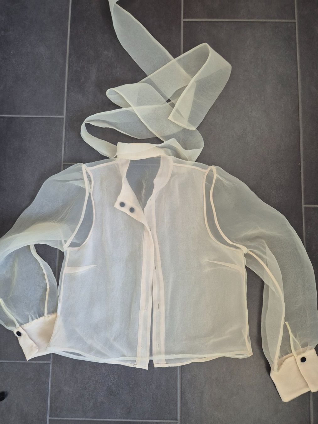 Zara Blusen: Zara sheer ivory blouse size S – Gebraucht aus Zürich von monadiederich 1