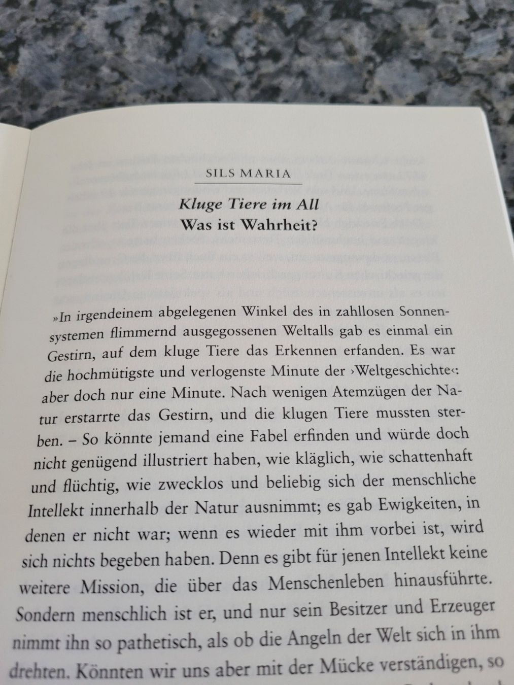 Libri: Buch Wer bin ich von Precht – Usato da Aarberg venduto da belaija 2