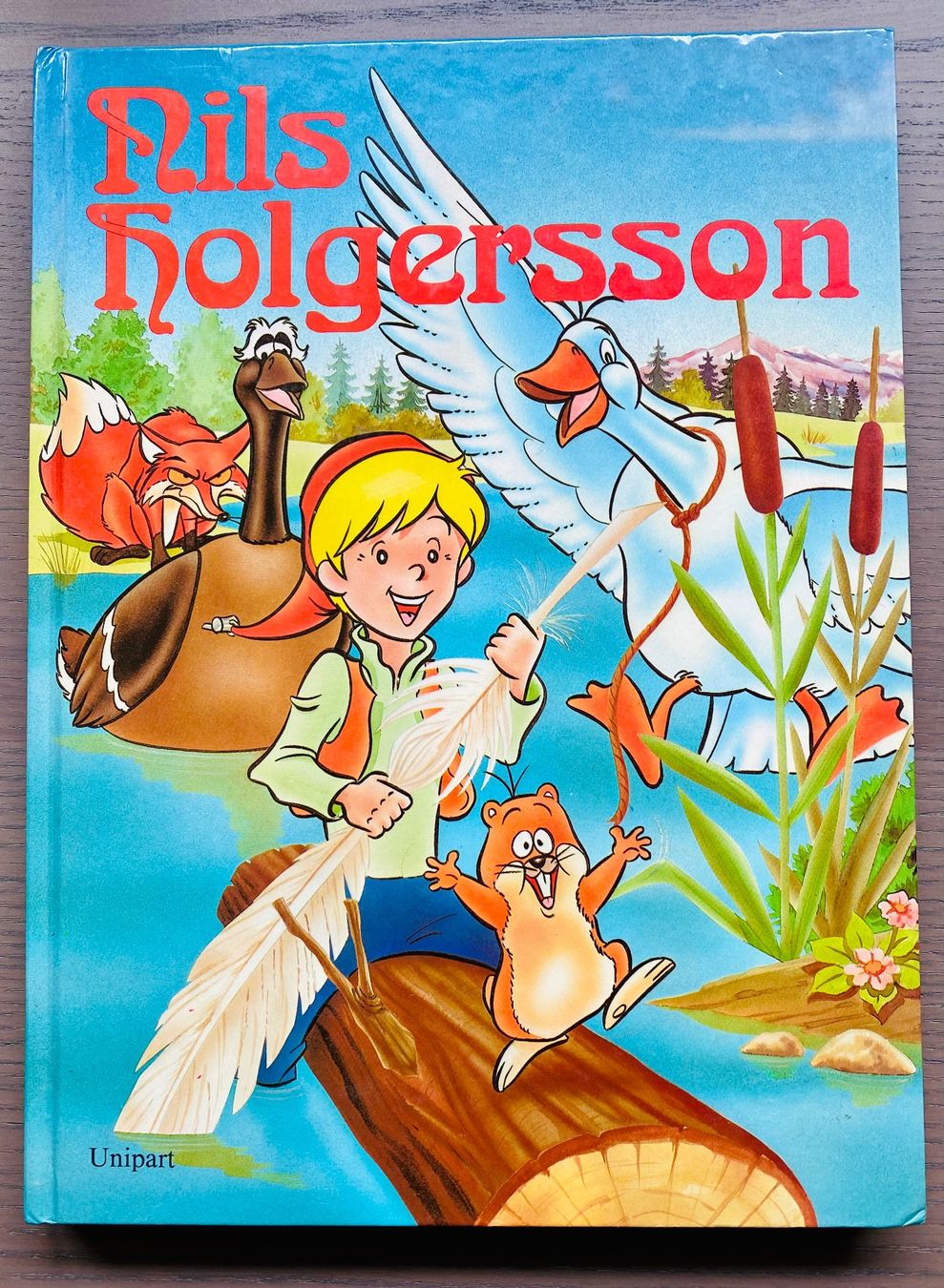 Libri: Kinderbuch Nils Holgersson – Usato da Reichenburg venduto da Noxima