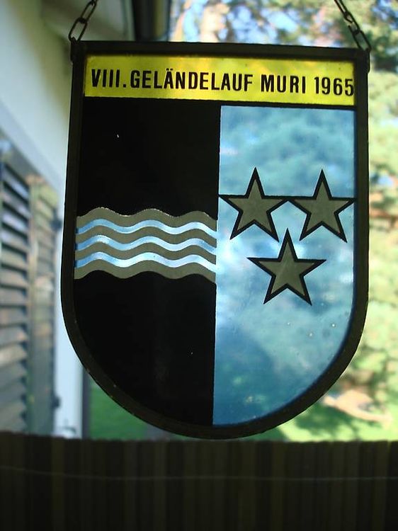 ARGAUER GLAS SPORTAUSZEICHNUNG 1965 (Gebraucht) in Niederweningen für ...