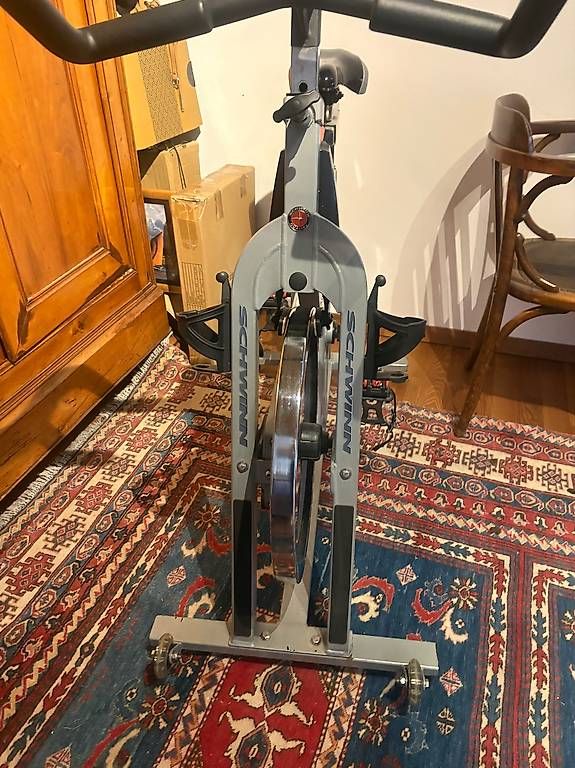 Hometrainer: Indoor cycle marca Schwinn – Usato da Derendingen venduto da gisella_21 3