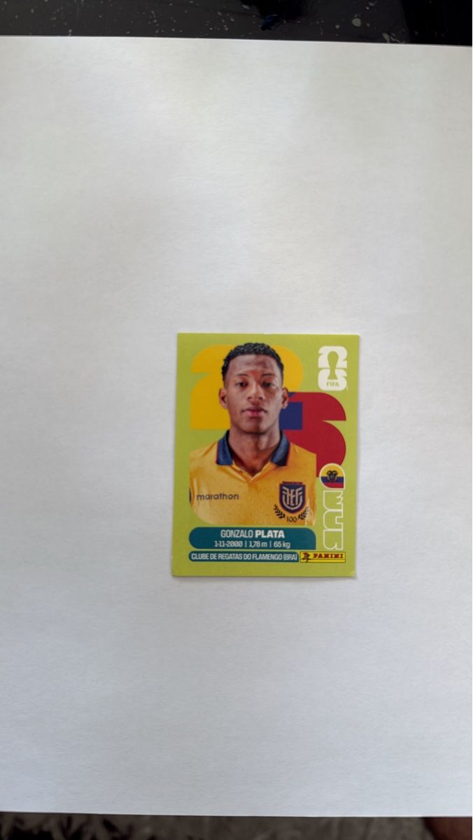 Panini Carte collezionabili: Panini Sticker Gonzalo Plata ECU 16 – Nuovo (secondo la descrizione) da Zürich venduto da Maeckes