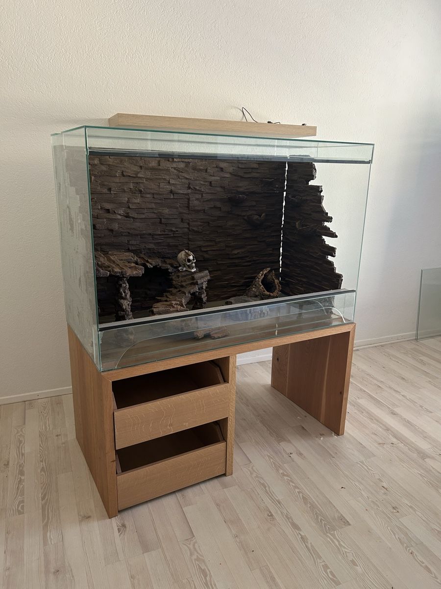 Terrariums: Terrarium – D'occasion à Frick par nikki09