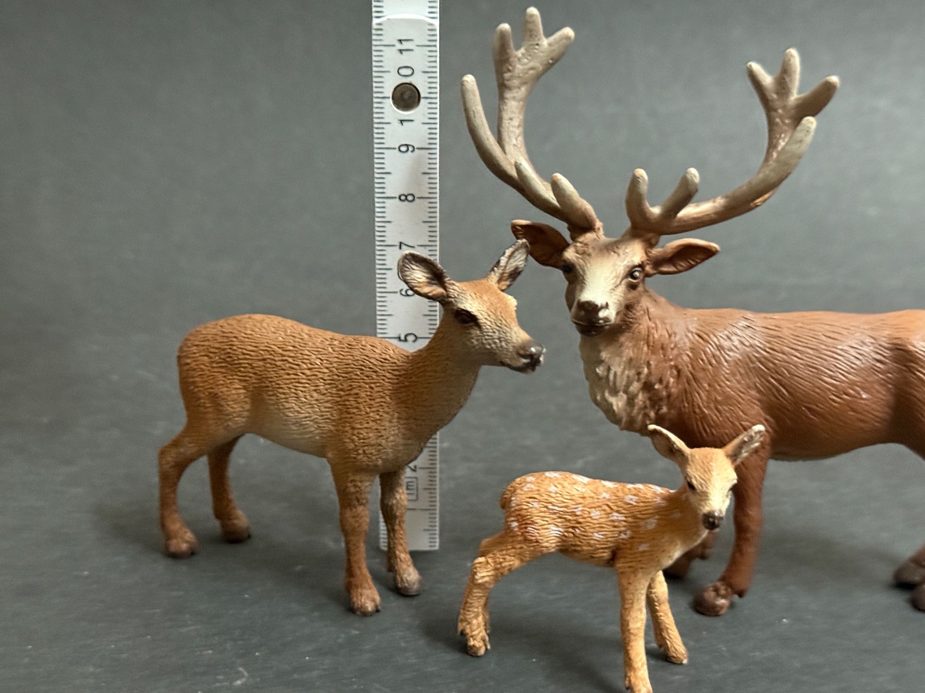 Schleich Figuren: Schleich Rothirsch Hirsch Kalb Kuh – Gebraucht aus Ennetbaden von mapa05 1